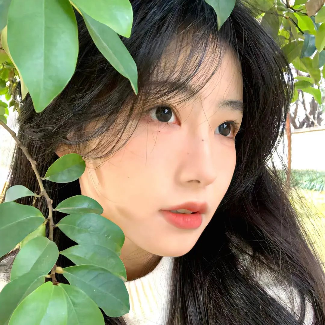 源氏物语千年之谜